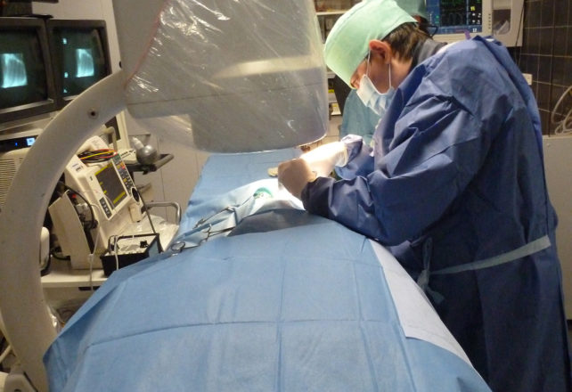 Acapulco, Cardiorespiratoire diergeneeskunde in Stavelot - Dienst : CATH-LAB EN OPERATIEZAAL
